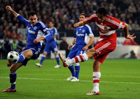 的资源禀赋 的资源禀赋